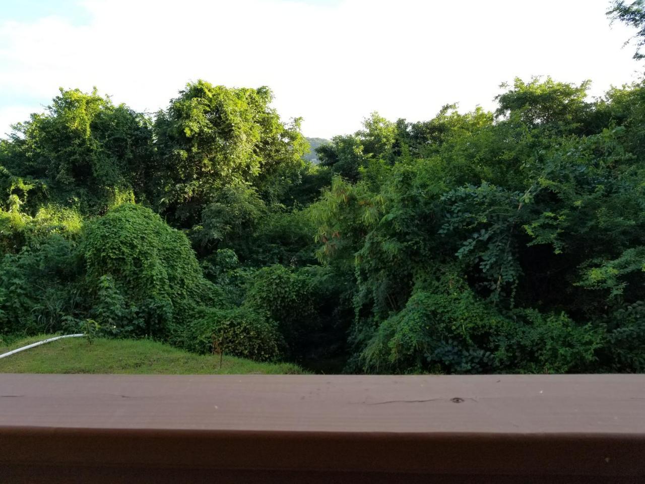 Keep Cool Guesthouse Gros Islet Eksteriør bilde